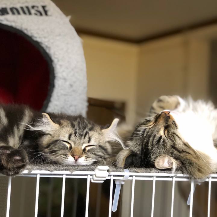 A22e400c bc86 447a a7b7 d8306d2e40c3 1556030163249