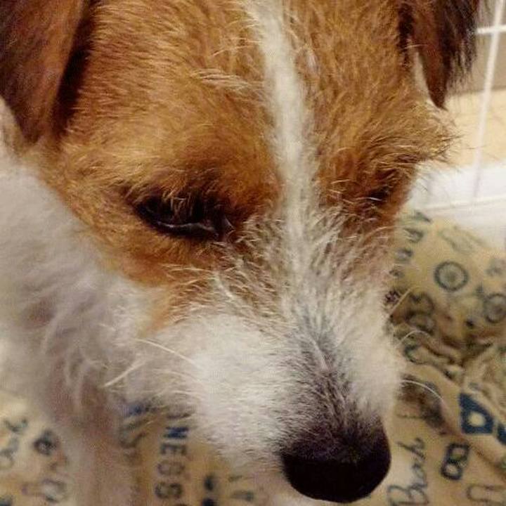 A22e7321 4a52 48b0 81cc 8e7cf6888c4c 1536576690895