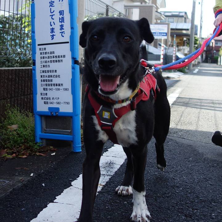 A22e79b5 3dd8 4b7a 8117 b3fa1566106c 1587432032106