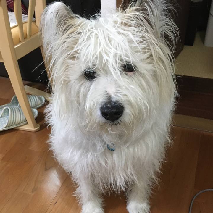 A22e7bd7 804f 4c40 bd5d 1f454b8bc41d 1618988326065