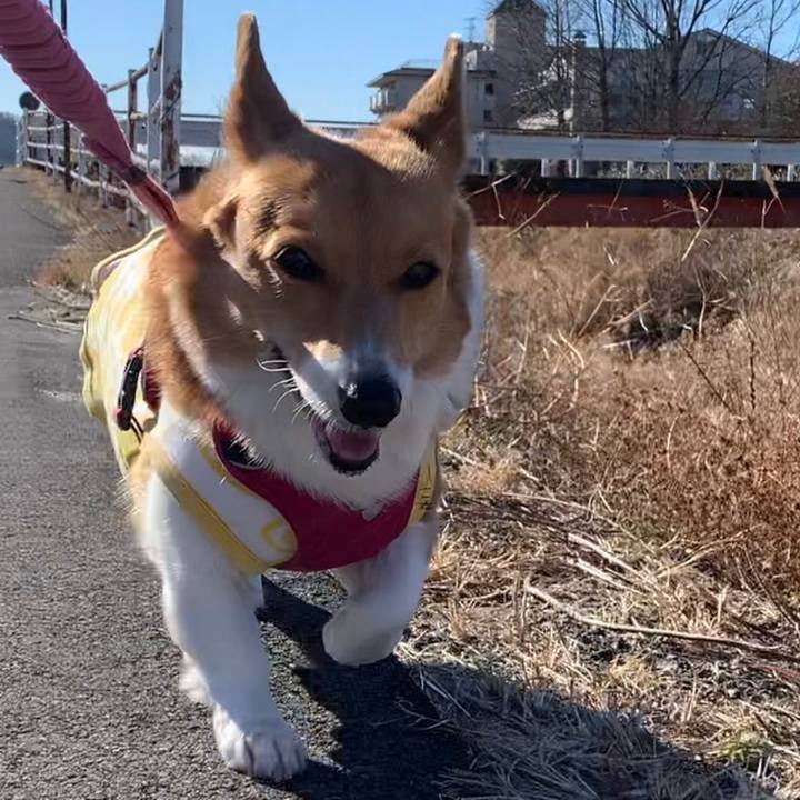 A22e7fcc 3e35 4559 bedf 97f94ff6acbf 1673409953811