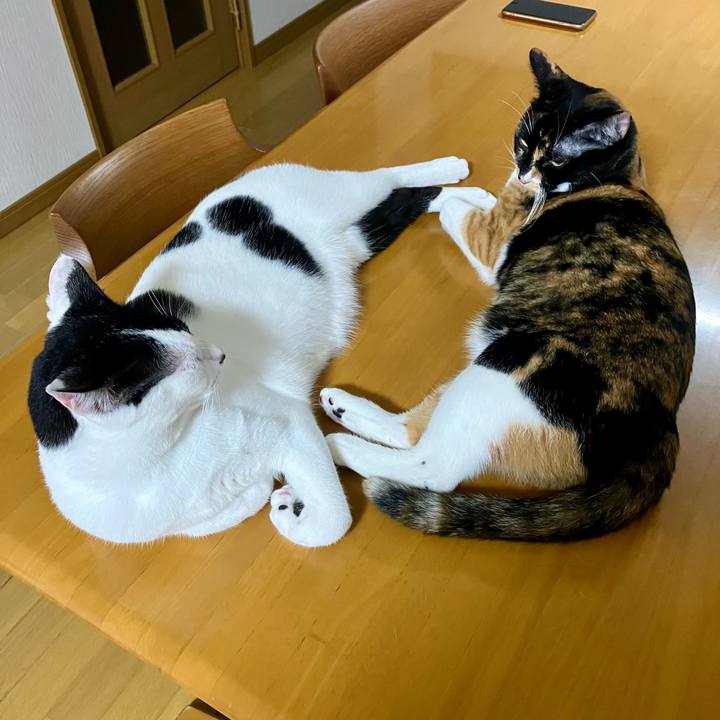 A22eb488 a8ce 4283 9776 c1e0a593f429 1762175221016