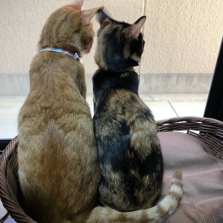 A22f08f4 5948 4796 acce 89ec16a3df51 1576124528415