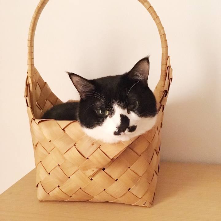 A22f0ad4 73c8 4c26 960e 8abc3999cb45 1516289082247