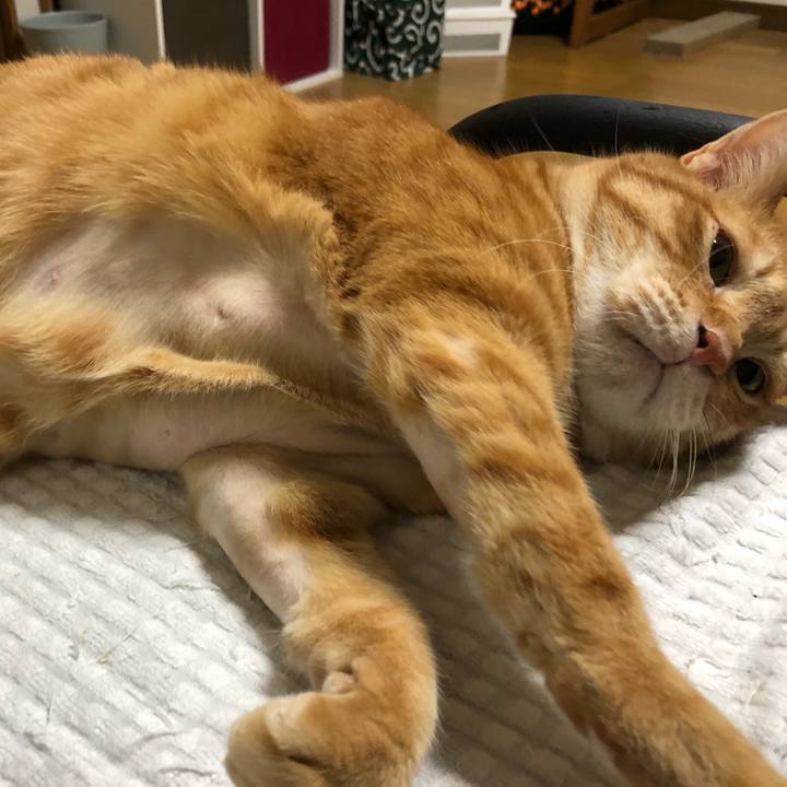 A22f3f14 95f5 47ab a4ec ba89e3a9f539 1649851448958