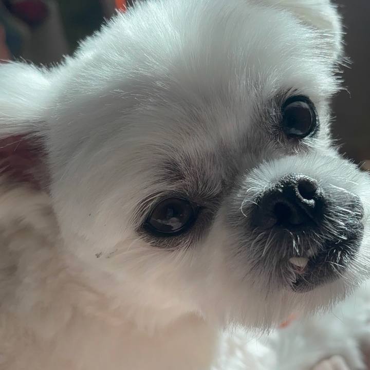 A22f7963 a2db 4ba6 9161 895c2b58b2e6 1739456681265