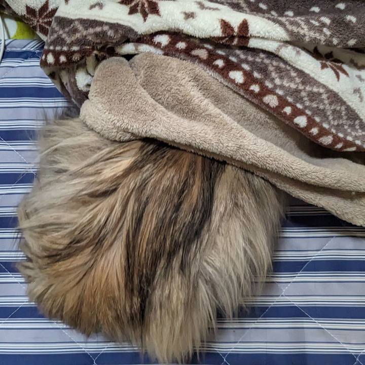 A22fa73a 7fb1 417d 8a55 7e2afd8f2c91 1709939540817