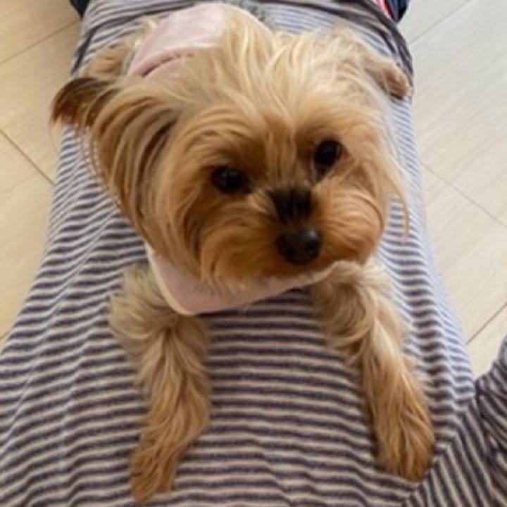 A22fcf63 85f9 46eb 8218 4eb15c78b040 1609117092483