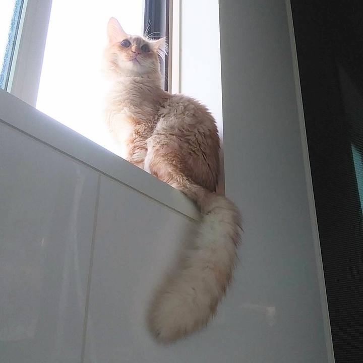 A230118b ce8f 4b28 b45c 3310989e82f5 1618995277073