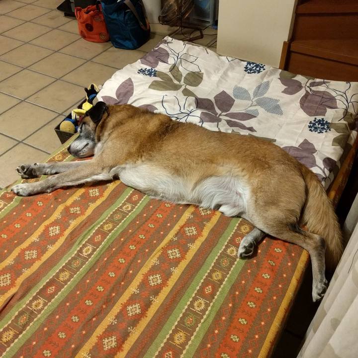 A2301993 d4df 4df9 aa75 6cc63fdc6469 1543412250973