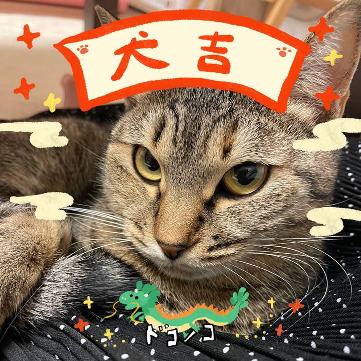 A23025f0 6051 42fc a6c7 b91da210b77d 1704165585247