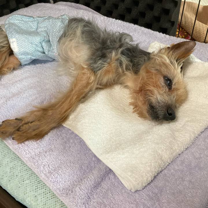 A23057be bb73 4015 a1f3 bf8871fb2703 1699256859108