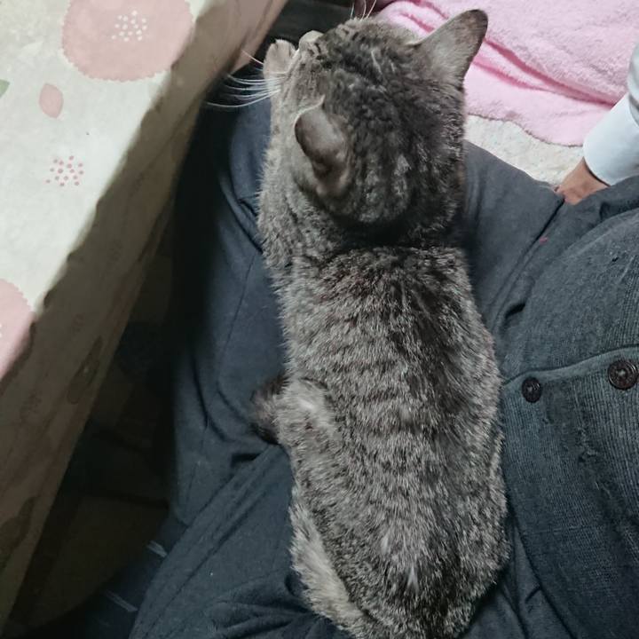 A2307191 939f 4bdd bf1b d8f247b9de7c 1578473961969