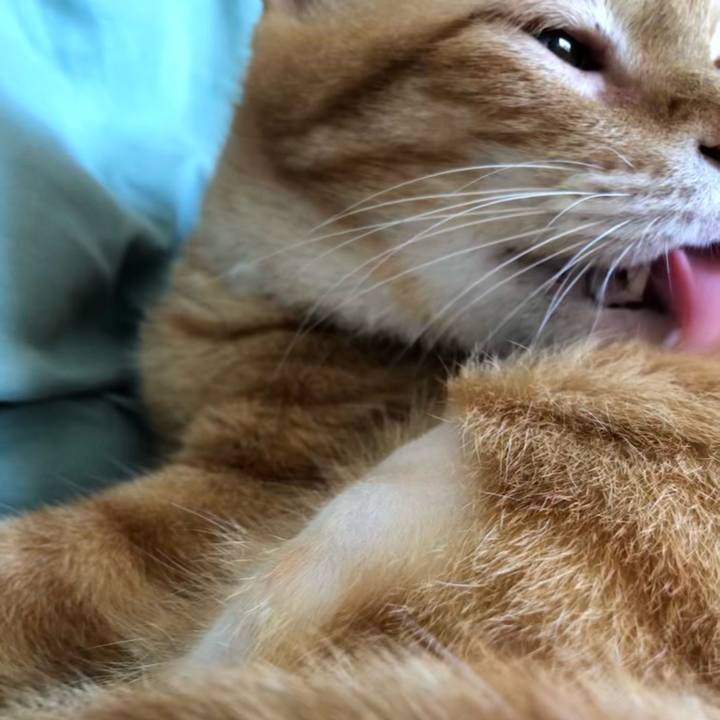 A23079ff cb96 408e 84dc 3f9cc956e34b 1627693947014