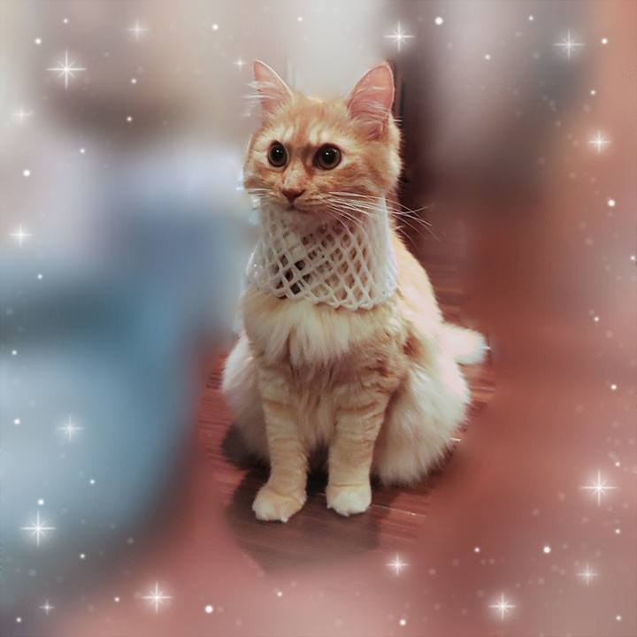 A230c1fb d892 48bd b759 27089a7eb4c9 1655122232140