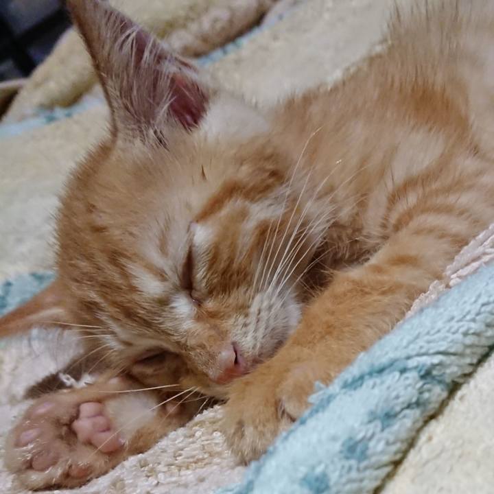 A230cba6 2f5a 4f8f a43f 58369ed61aeb 1628428276521