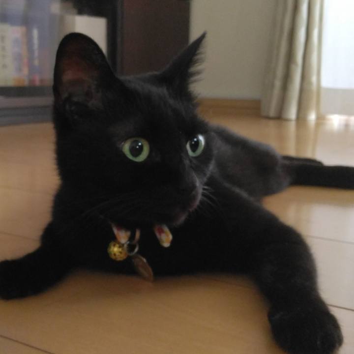 A230da20 e589 4049 9f8b c5313a14d305 1758976606611