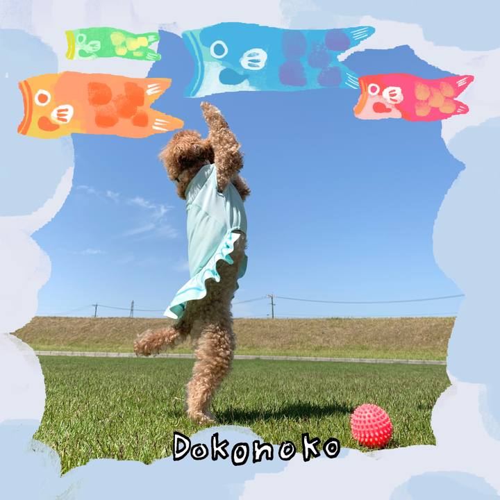 A230e1fb 77f1 41f5 8612 70e98a96fd00 1749470636185