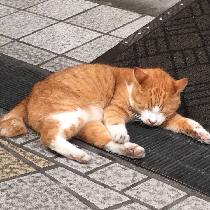 A230ffd6 4788 4316 86f9 835e482307e6 1537110610050