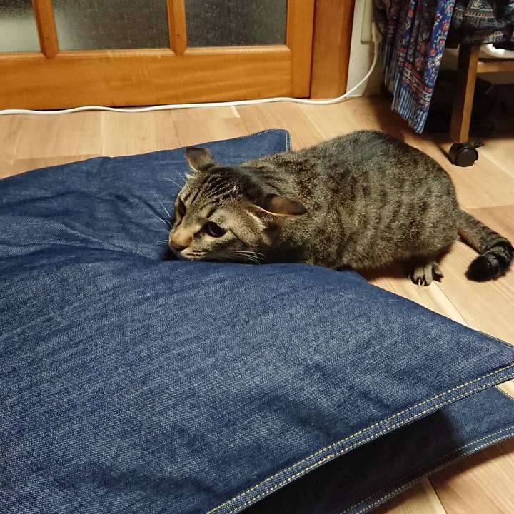 A23106f3 752c 40fd 9241 6e1ae67537c1 1531236321164