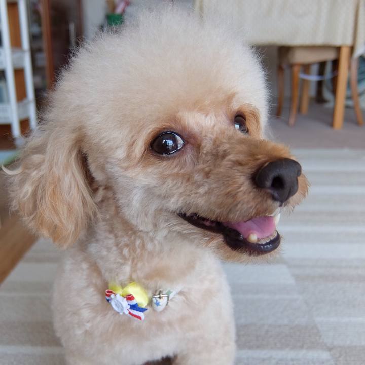 A23136d1 1852 4fae 9051 52ab6d1f0925 1566013950969