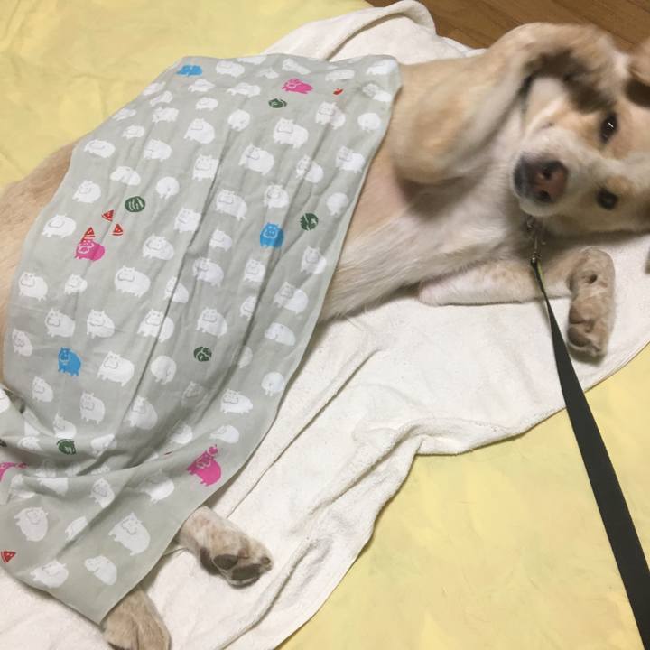 A2314ea3 52f0 4369 98d1 3dc5bf912bf0 1530616754900