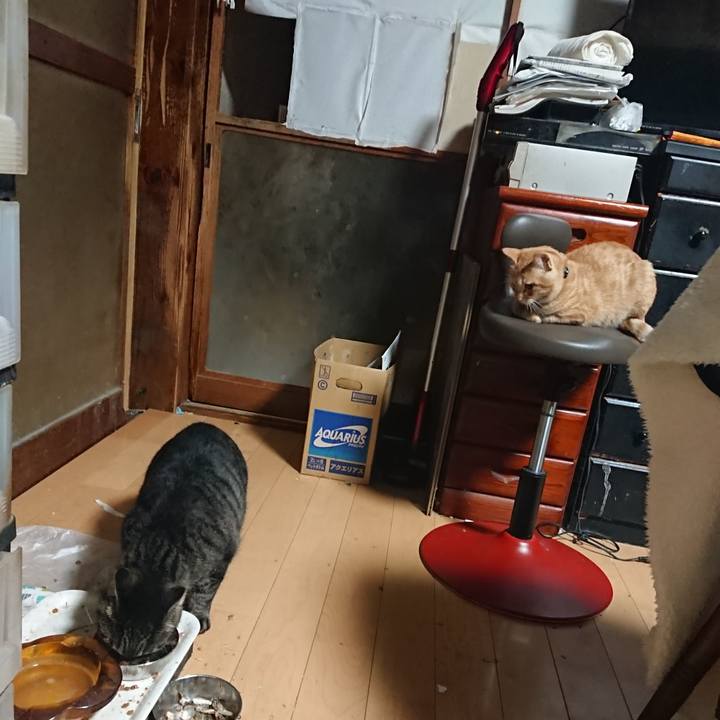 A231b1e6 fd45 42e5 9c74 baca4462c477 1635714177500