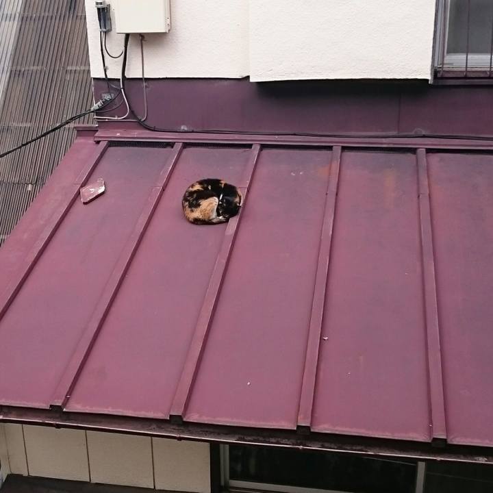 A231c198 025a 4f6b ba40 17dd49fb9546 1520655673193