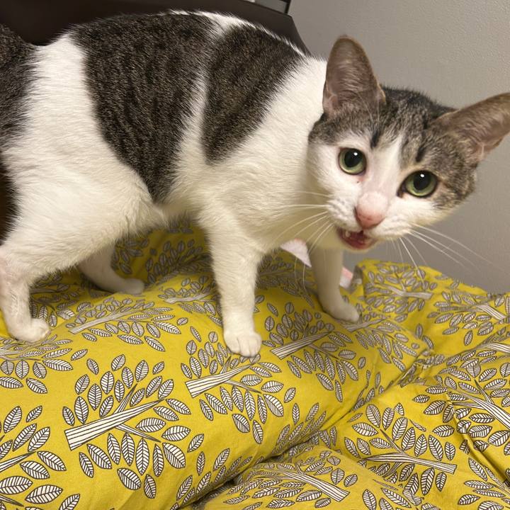 A231d824 1308 4b63 b80f 7593128a27ce 1761231598894