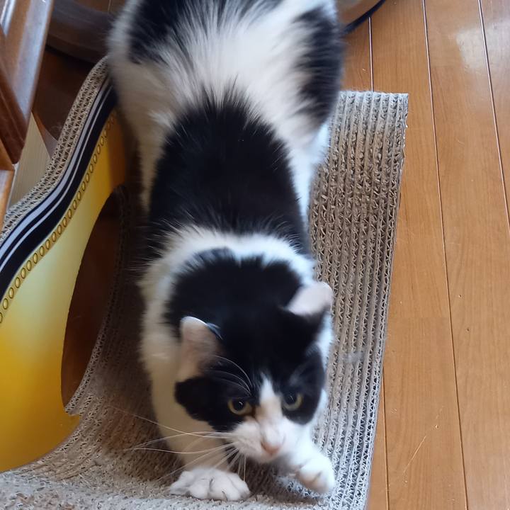 A231dbde 7e44 46e1 b7d7 18e4121e7d0d 1648856344561