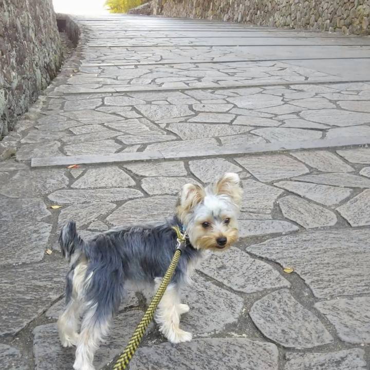 A232934d 39f1 4ec1 8660 ee0c4a750e7d 1539417387381