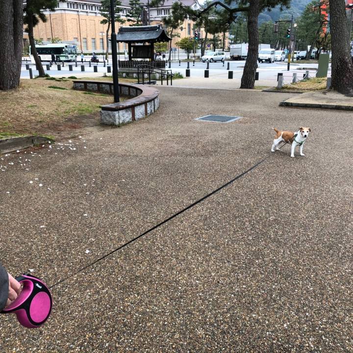 A232c0c0 5453 4aa9 97df 1dd3f3af7348 1585301809196