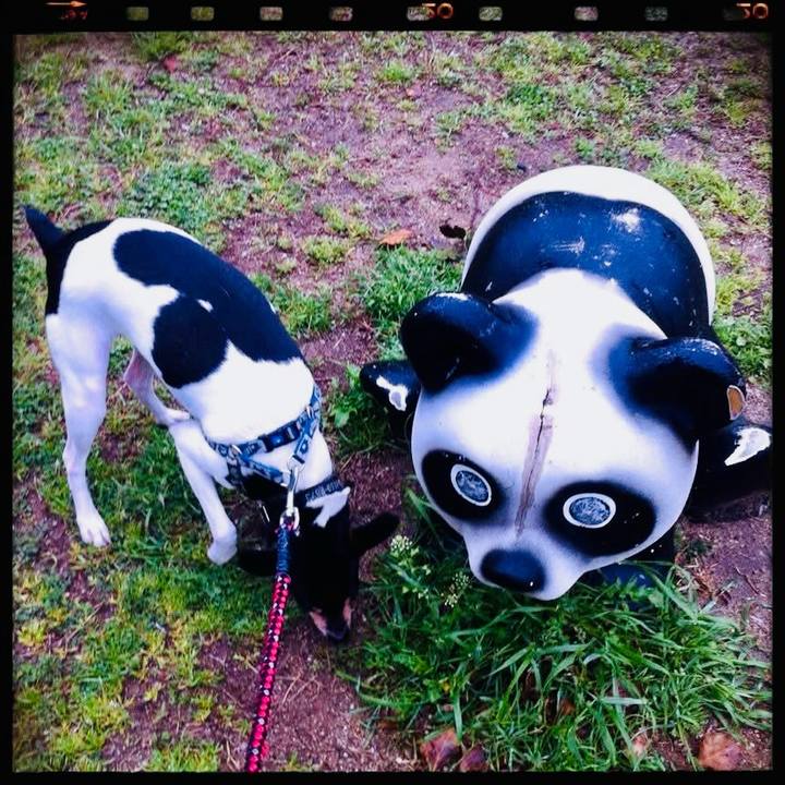 A232c2ba e702 4977 9058 f5925e8e44ef 1743247462952