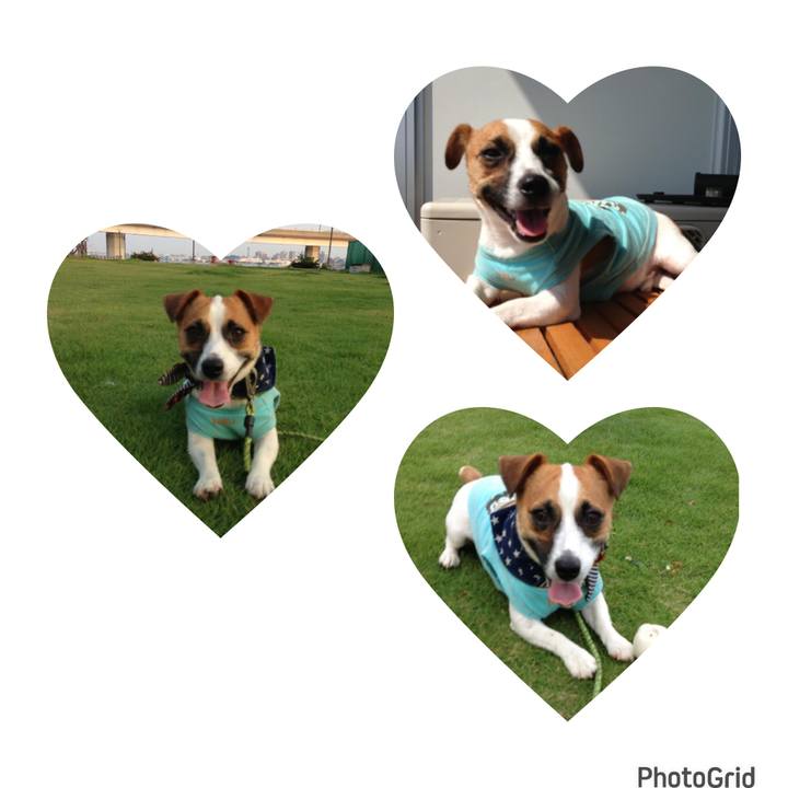 A232ca6d 093f 4563 9752 24be9c55d29d 1691410340863