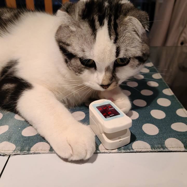 A232d1d5 ea23 4d80 b8b1 33acbc81d9bb 1641862365789