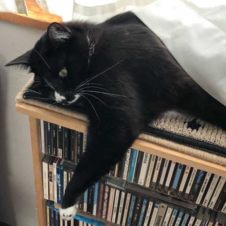 A2331ae5 24b5 4eca b61d 942715cf4b6e 1594698218973