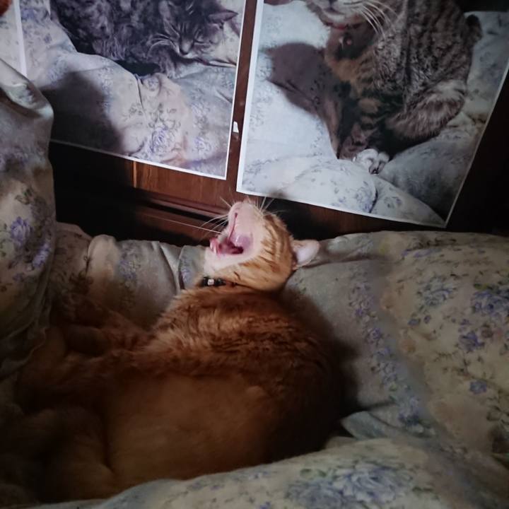 A23358d3 8f44 403f 8b4a 851d0015760c 1655329730890