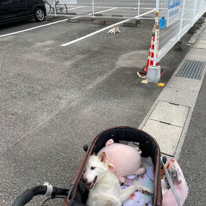 A233c6b5 08e1 4e78 a795 9fb50727dc5f 1665921424010