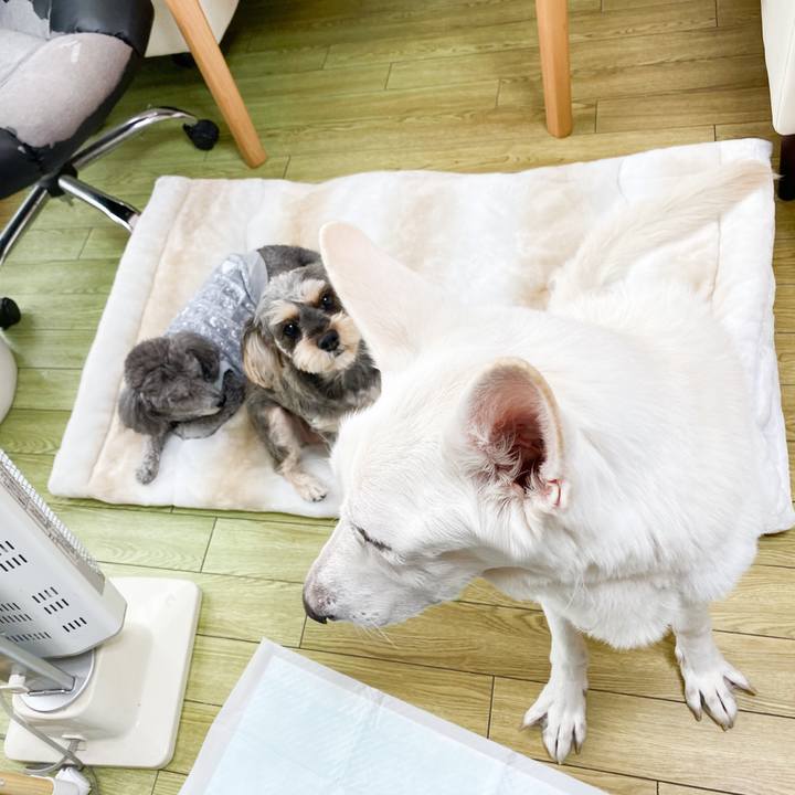 A233f114 7997 42ab 9eff 553332b407a9 1608425472481