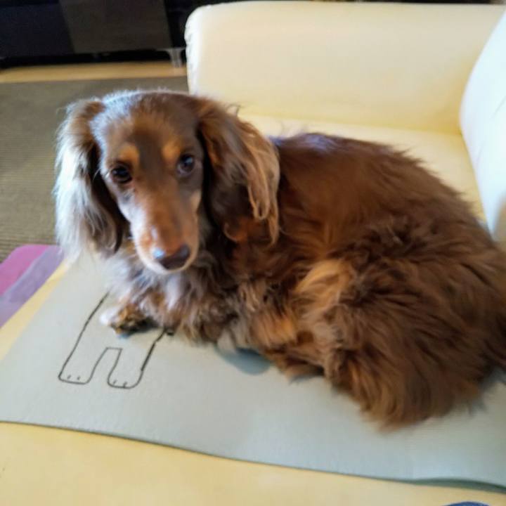 A2342f16 45c1 4aa7 bfde aef95d196837 1580612572901