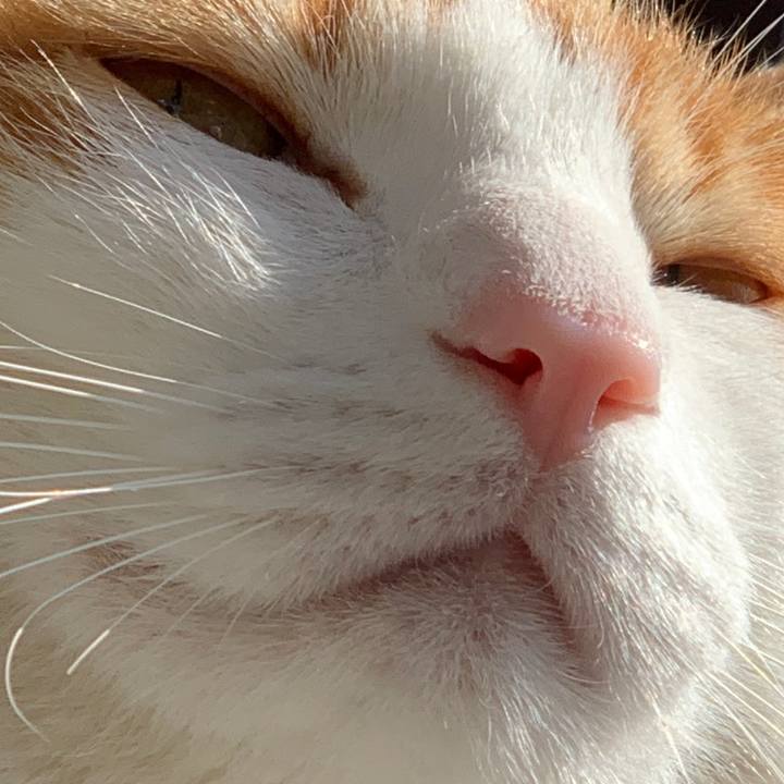 A2344022 506d 4a09 837a 643f57bf0ffa 1581133034340