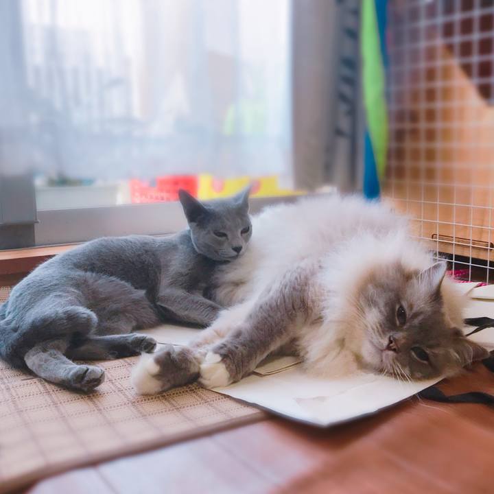 A2346abe 4e72 4225 9152 41a2a2776407 1530280645324