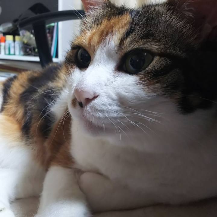 A235301d a89a 4541 a956 38012eebb488 1562109422478