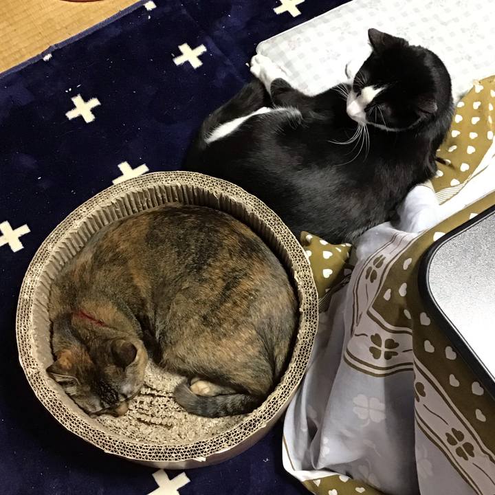 A2353515 d929 4ba5 a1b1 dcba9be7fea7 1708853978850