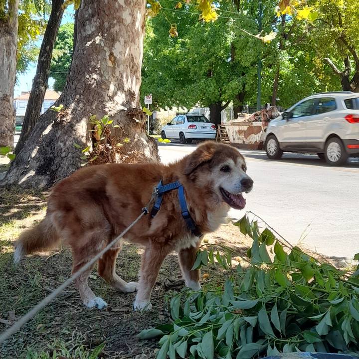 A2354833 1d69 4b76 9523 d4f41627ac17 1771648133868