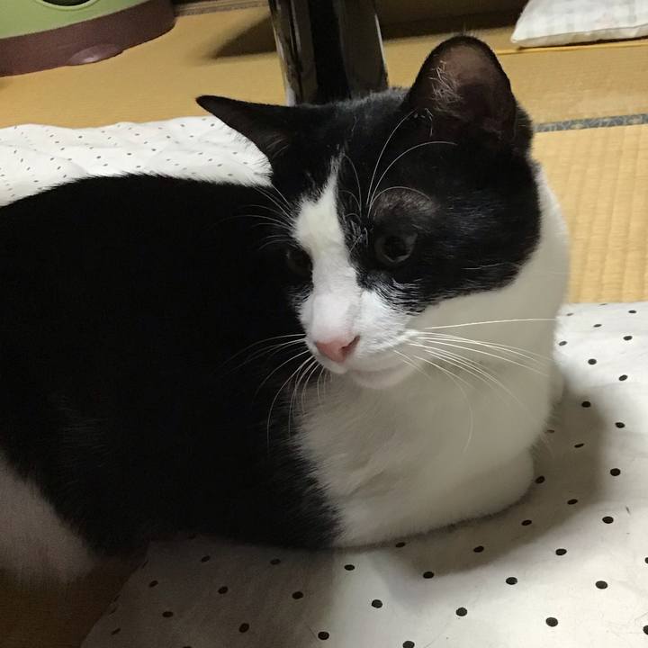 A2356ad4 8f7c 48fa 8d7b f11264c2eded 1656761732186