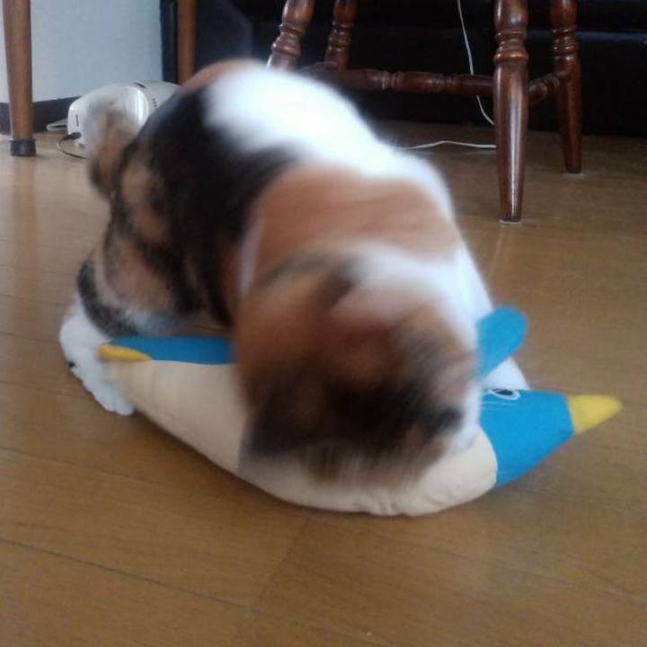 A2359053 b6c4 45fa 8223 acac95ef8f8c 1582021843046