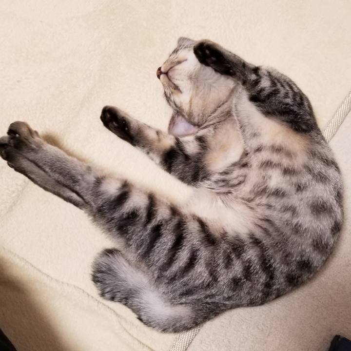 A23609a7 8739 41f6 9619 47ed246029ac 1669527441285