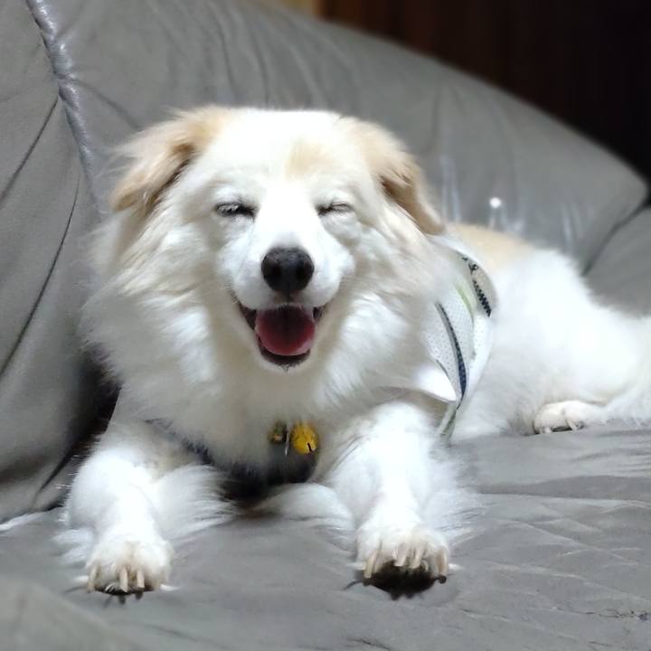 A236446c 832b 401e a70e 875060e9c927 1664799607334