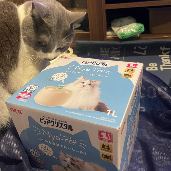 A23671f8 acfe 409b a25b 5b575edf79a2 1703157521187